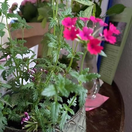 Agnes Vintage Home Hanower Zewnętrze zdjęcie