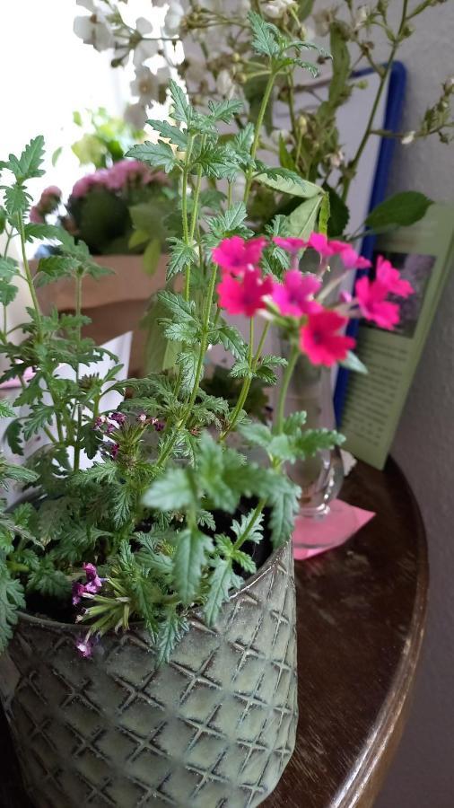 Agnes Vintage Home Hanower Zewnętrze zdjęcie