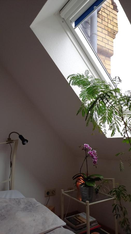 Agnes Vintage Home Hanower Zewnętrze zdjęcie